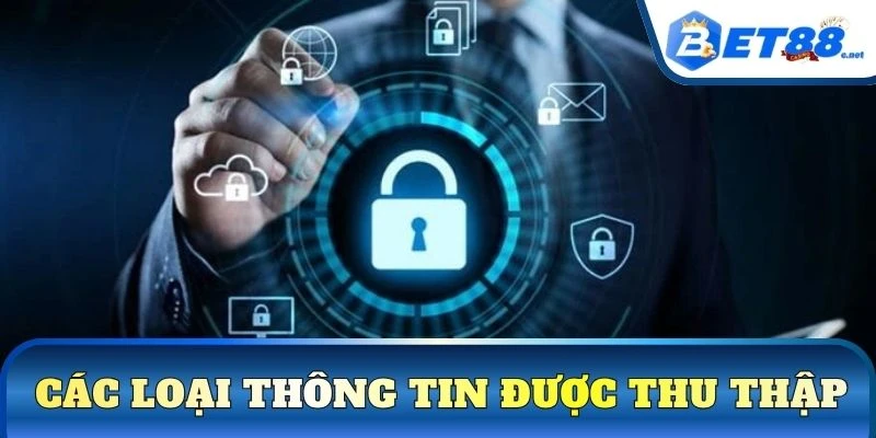 Các loại thông tin được thu thập