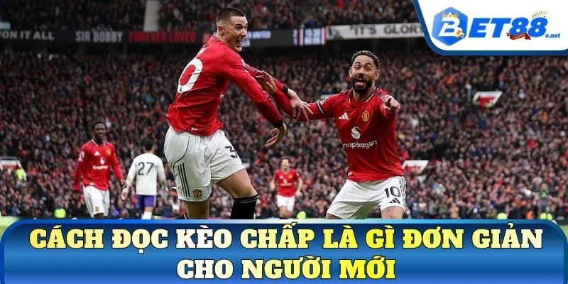 Cách đọc kèo chấp là gì đơn giản cho người mới