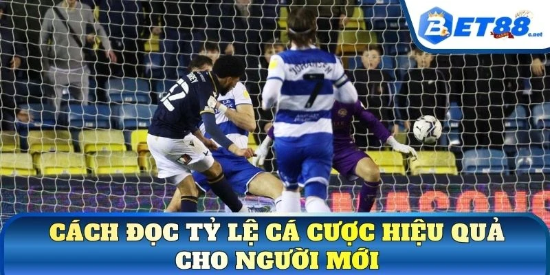Cách đọc tỷ lệ cá cược hiệu quả cho người mới
