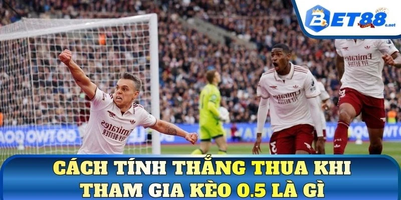 Cách tính thắng thua khi tham gia kèo 0.5 là gì