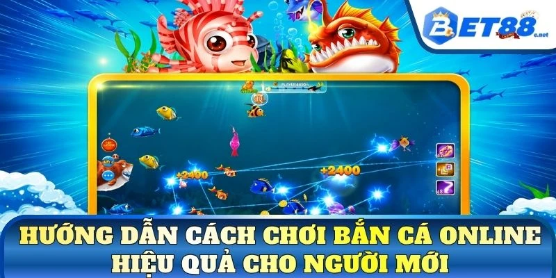 Hướng dẫn cách chơi bắn cá online hiệu quả cho người mới