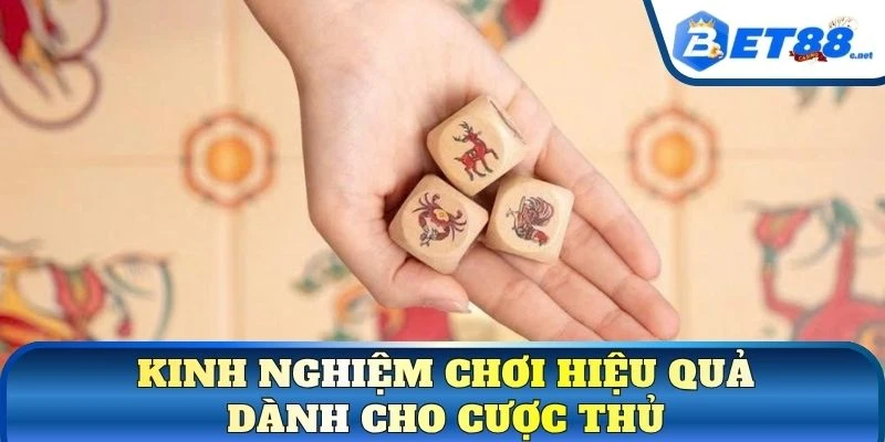 Kinh nghiệm chơi hiệu quả dành cho cược thủ