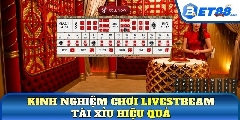 Kinh nghiệm chơi livestream tài xỉu hiệu quả