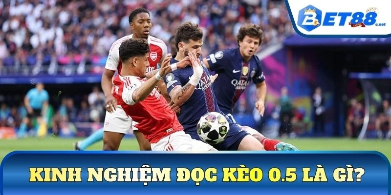 Kinh nghiệm đọc kèo 0.5 là gì?