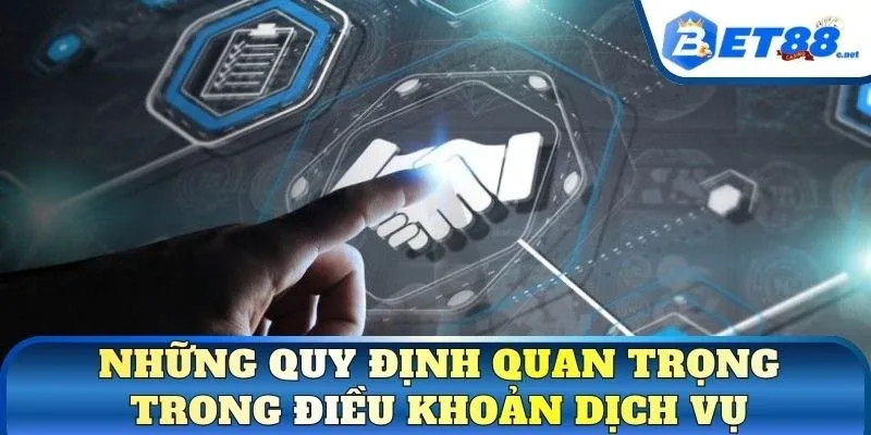 Những quy định quan trọng trong điều khoản dịch vụ