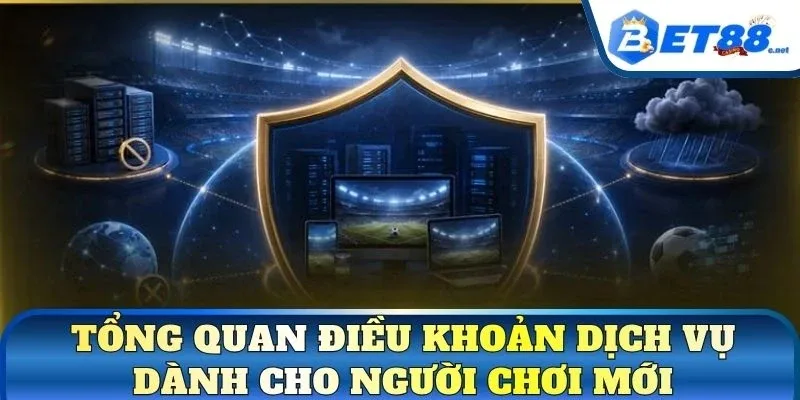 Tổng quan điều khoản dịch vụ dành cho người chơi mới